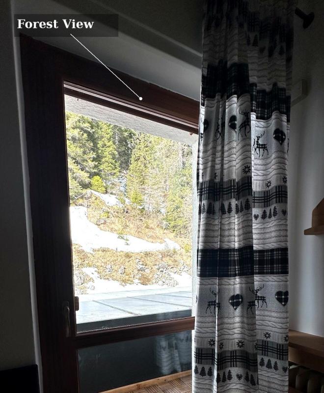 forest_view_luxury
